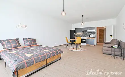 Pronájem bytu 1+kk 49 m²