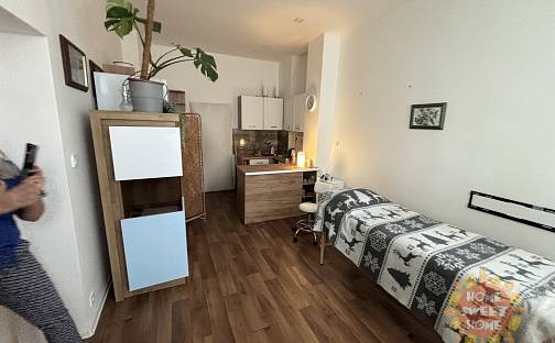 Pronájem komerčního objektu (jiného typu) 27 m², Nučická, Praha 10 - Strašnice