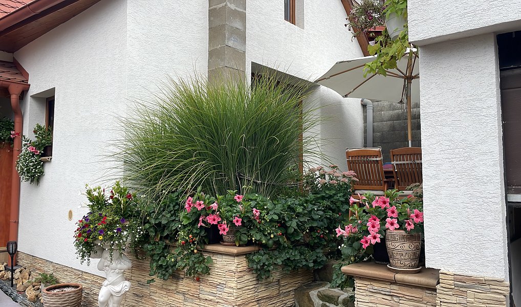 Prodej domu 50 m² s pozemkem 240 m², Napajedla – náhled fotky 4