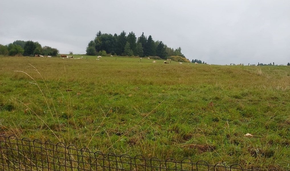 Prodej stavebního pozemku 1 259 m², Chodov – náhled fotky 6