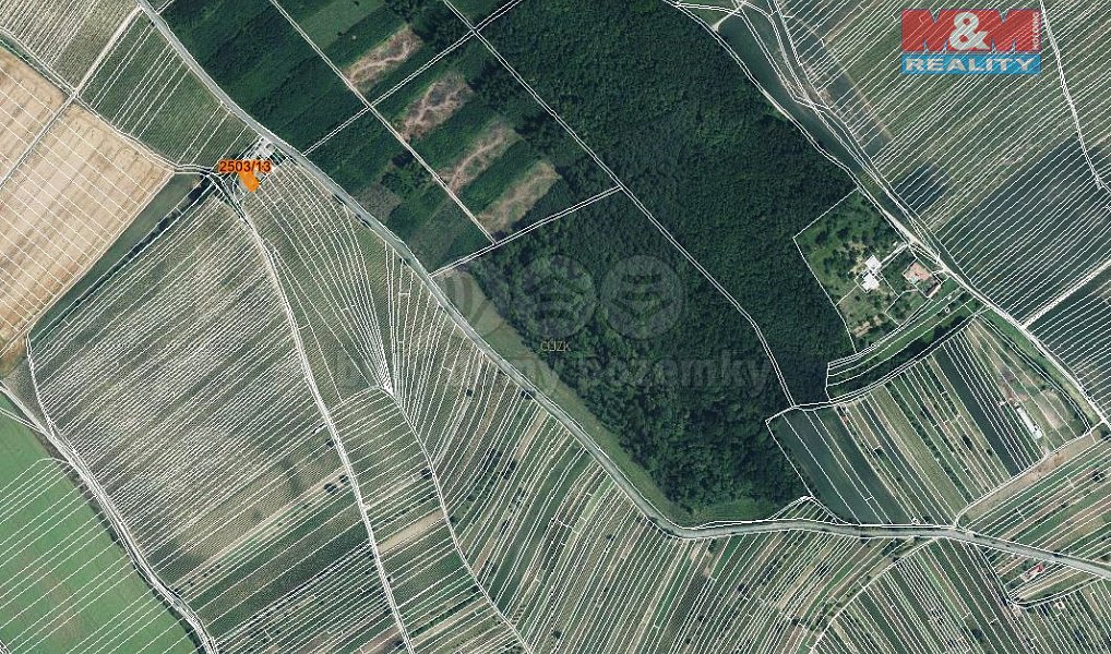 Prodej pole 300 m², Dolní Bojanovice – náhled fotky 4