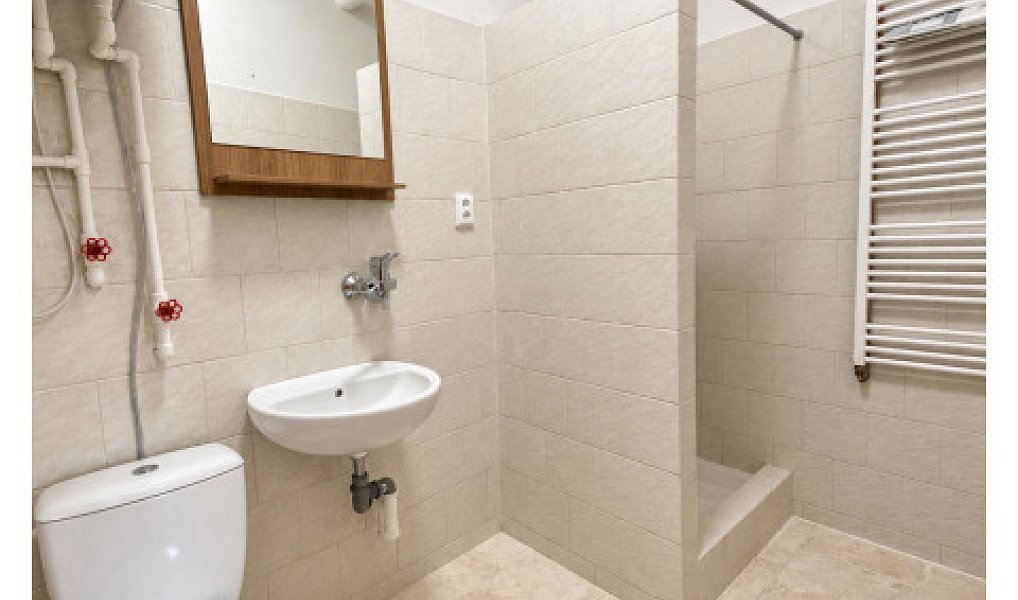 Pronájem bytu 1+1 44 m², Nový Bydžov – náhled fotky 10