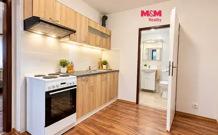 Pronájem bytu 1+kk 50 m²