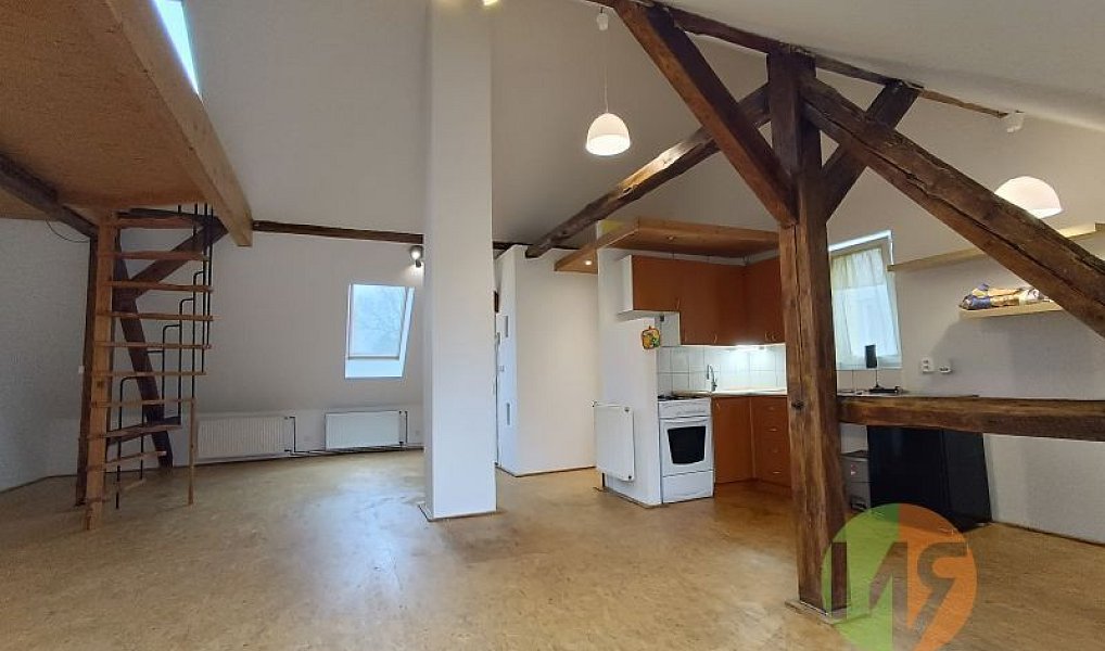 Pronájem bytu 1+kk 60 m², České Budějovice – náhled fotky 4