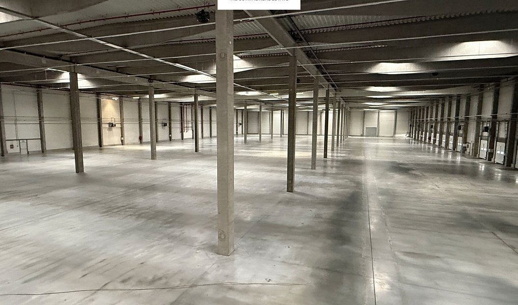 Pronájem výrobních prostor 15 754 m², Hustopeče – náhled fotky 3