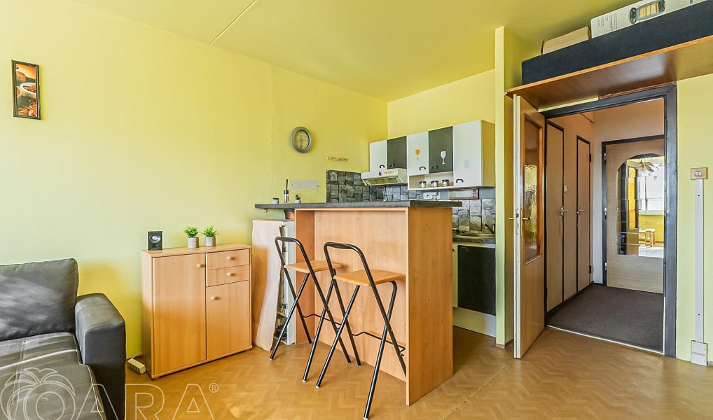 Prodej bytu 1+kk 30 m², Praha – náhled fotky 11