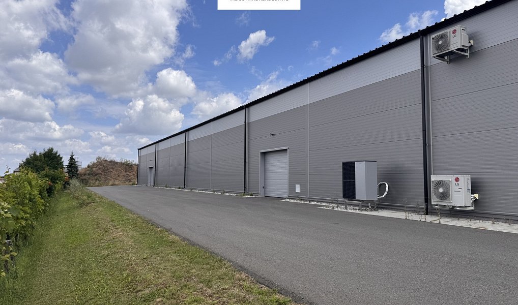 Pronájem skladovacích prostor 1 890 m², Herink – náhled fotky 7
