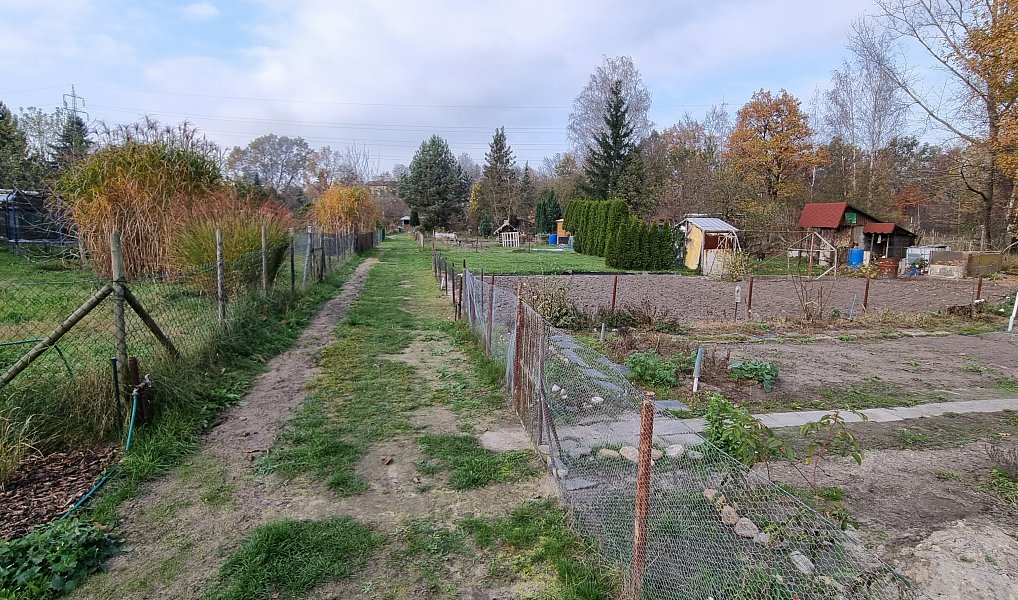 Pronájem zahrady 200 m², Rybitví – náhled fotky 4