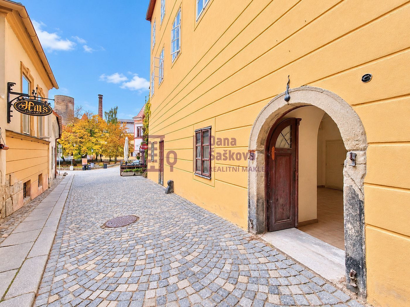 Pronájem obchodních prostor 41 m²