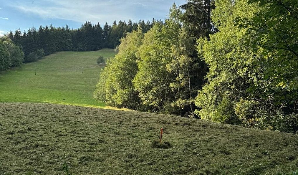 Prodej pozemku 600 m², Hutisko-Solanec – náhled fotky 4