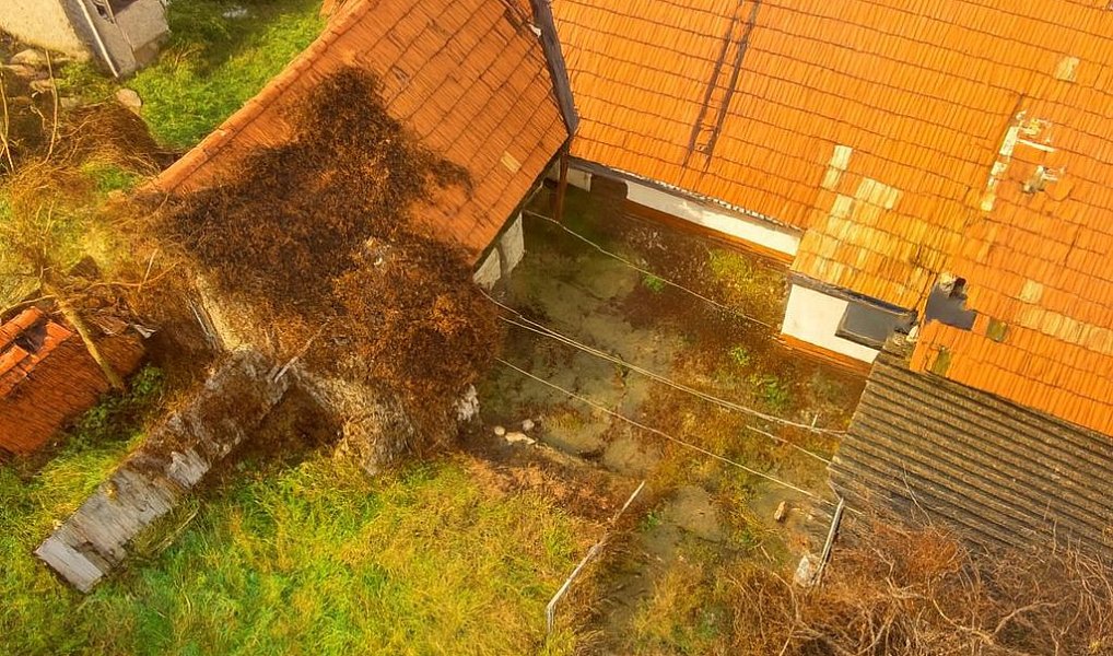 Prodej domu 107 m² s pozemkem 387 m², Zaječí – náhled fotky 4