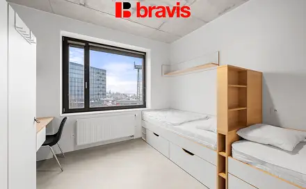 Pronájem bytu 1+kk 24 m², Dornych, Brno - Trnitá