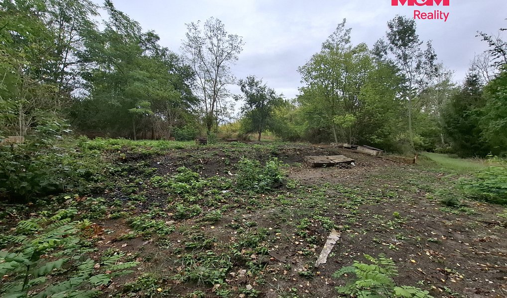 Prodej lesa 815 m², Šakvice – náhled fotky 7