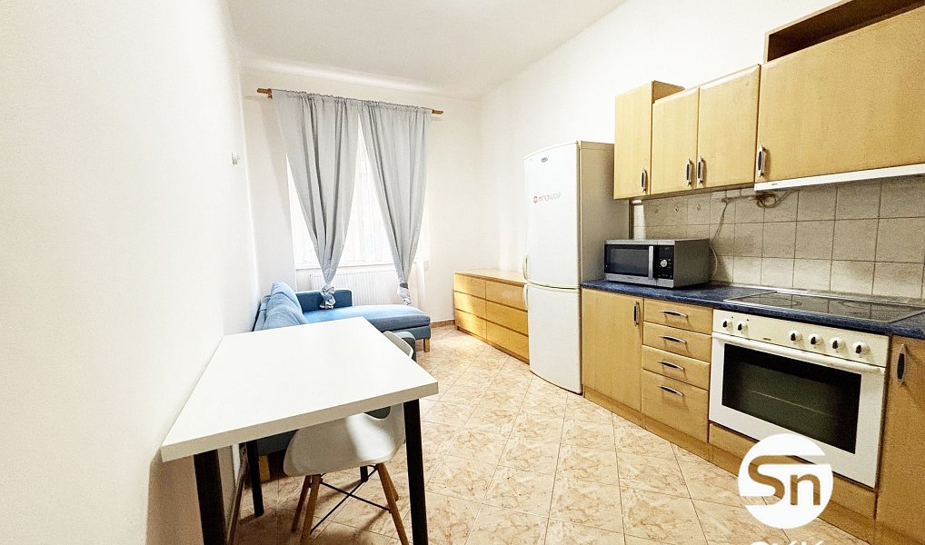 Pronájem bytu 1+1 48 m², Praha – náhled fotky 6