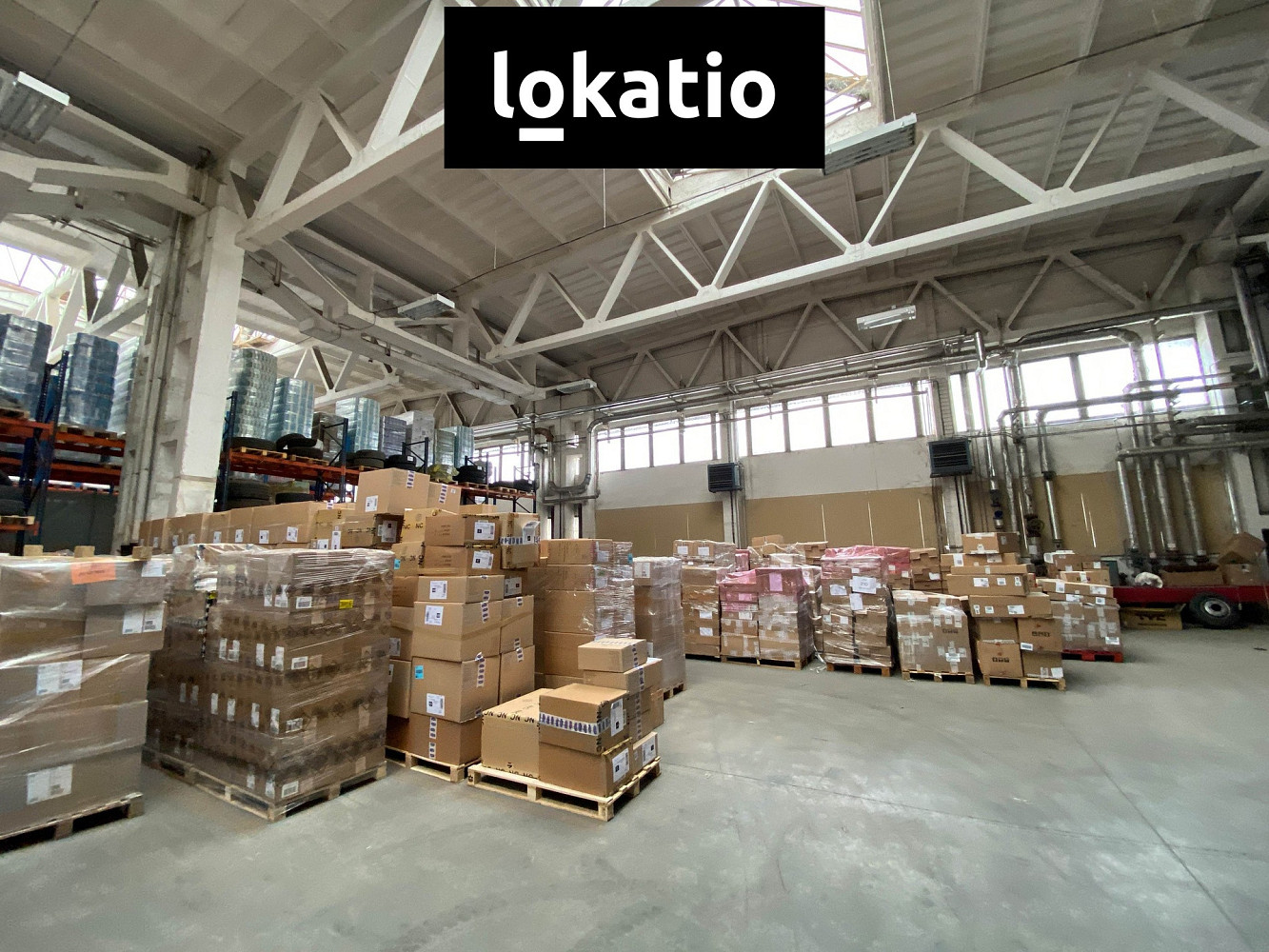 Pronájem skladovacích prostor 1 256 m² — photo 3