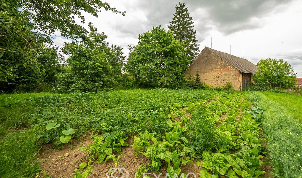 Prodej stavebního pozemku 1 287 m², Martínkov – náhled fotky 3