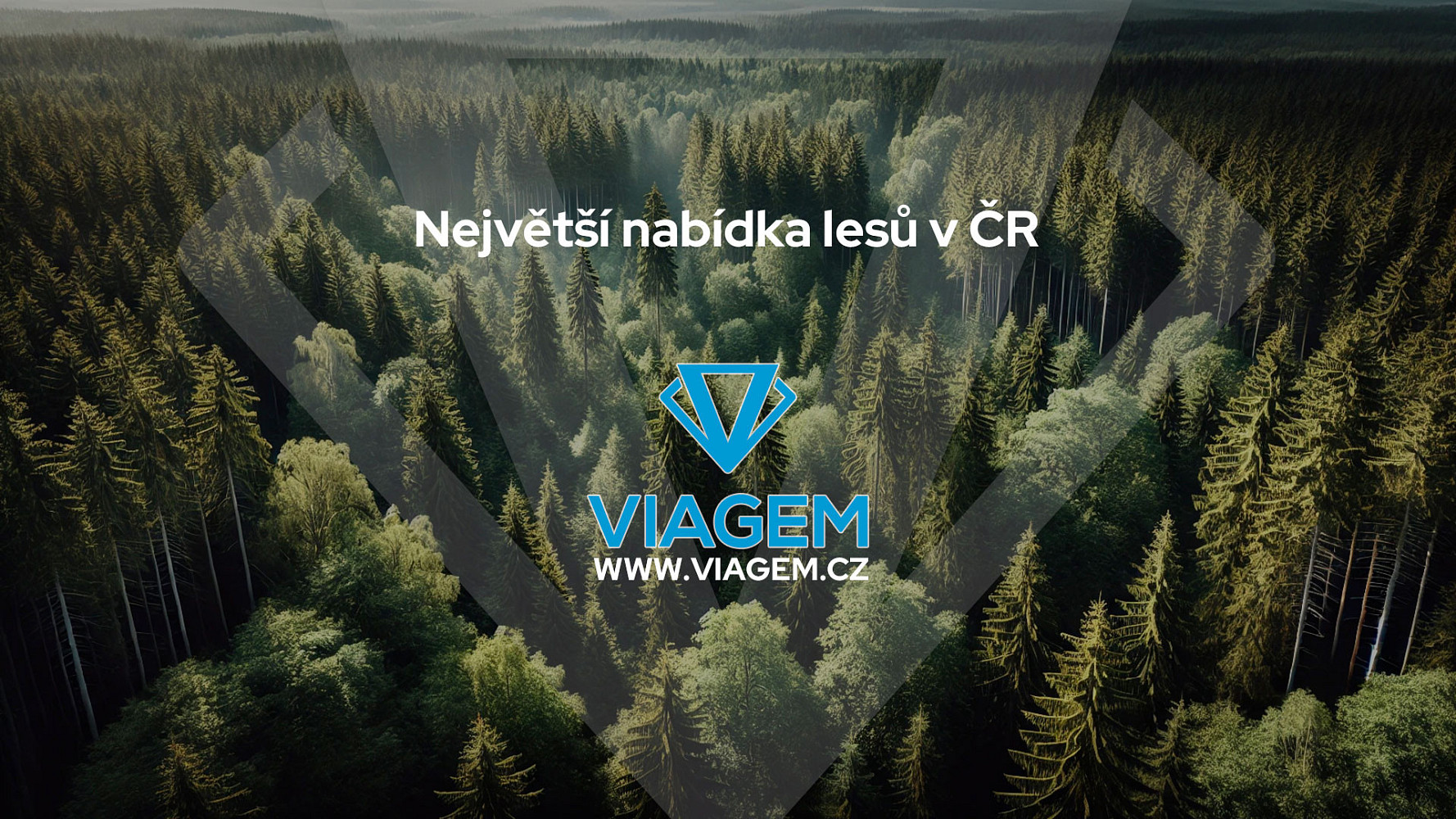 Prodej lesa 1 343 m² – pohled 5