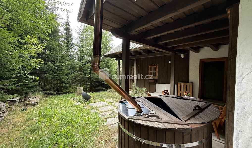Prodej domu 300 m² s pozemkem 1 292 m², Železná Ruda – náhled fotky 33
