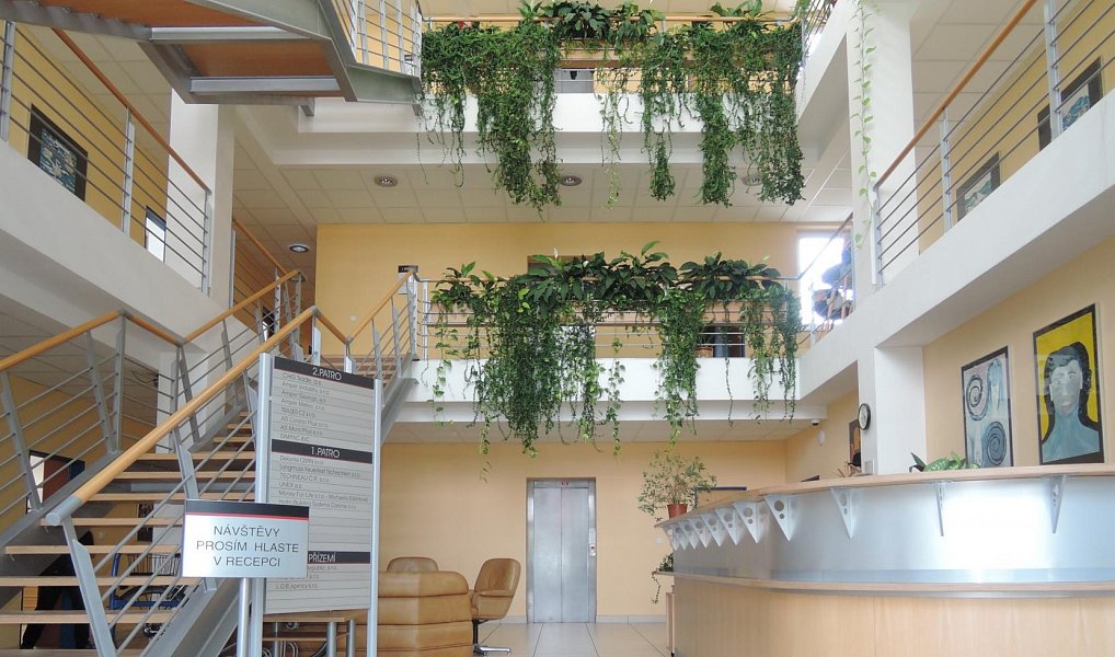 Pronájem komerčního prostoru, 134 m², Dolní Heršpice - Brno-město, Brno