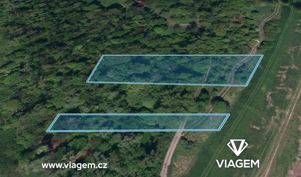 Prodej lesa 1 565 m², Dětmarovice – náhled fotky 3