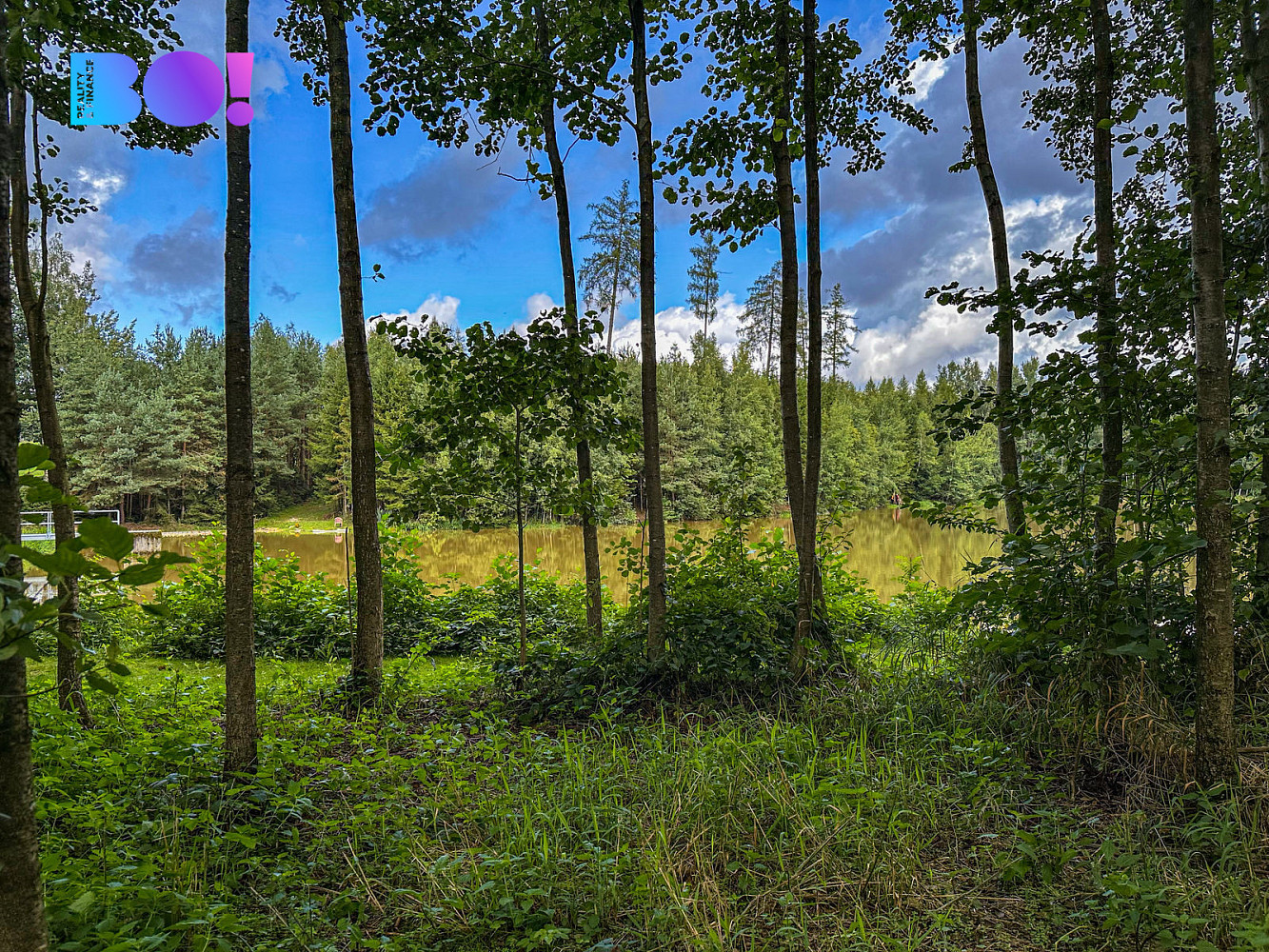 Prodej stavebního pozemku 3 959 m² – fotografie 3