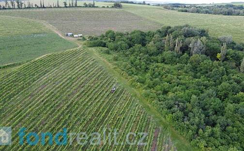 Prodej pozemku 7 374 m², Újezdec, okres Uherské Hradiště