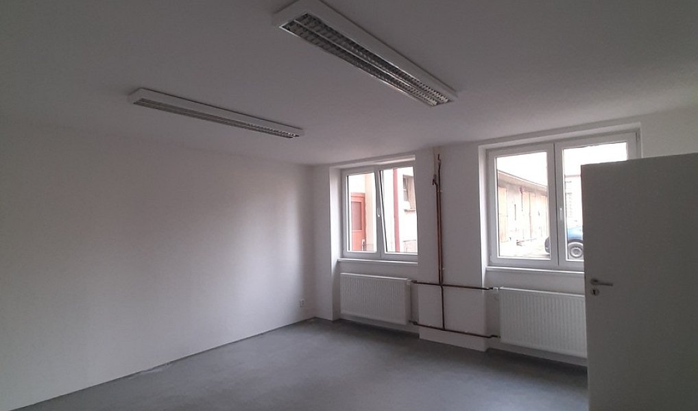 Pronájem komerčního objektu (jiného typu) 50 m², Lužany – náhled fotky 6