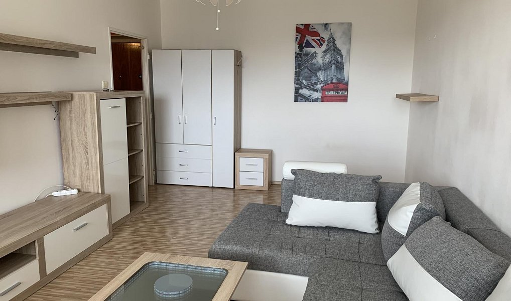 Pronájem bytu 1+1 36 m², Ostrava – náhled fotky 5