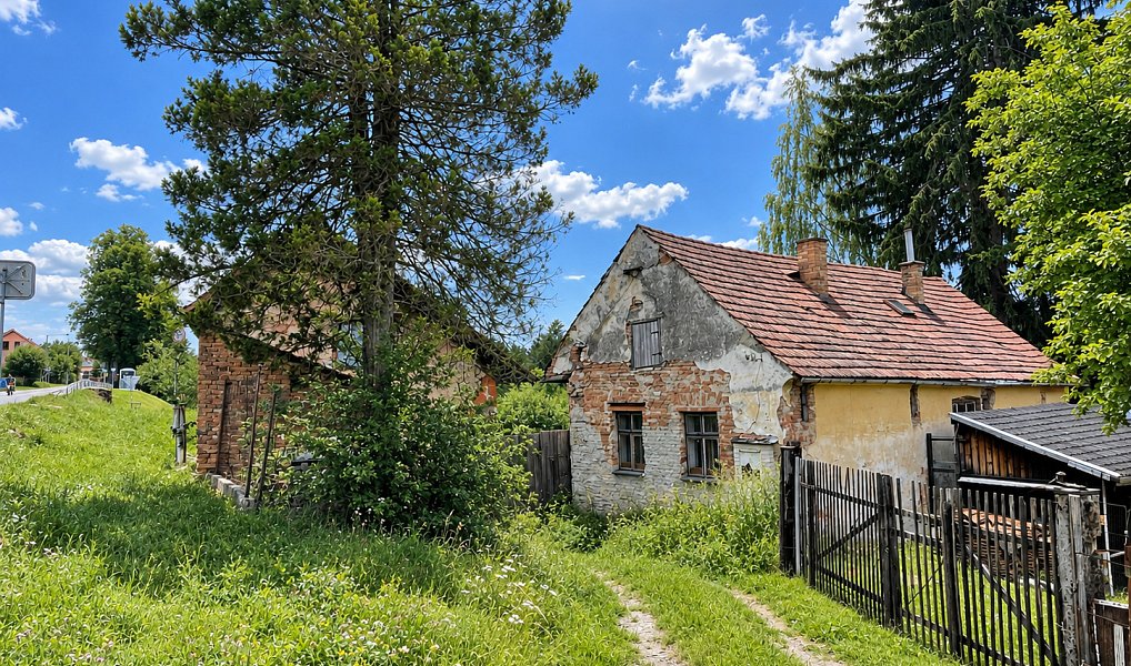 Prodej stavebního pozemku 2 028 m², Ledenice – náhled fotky 4