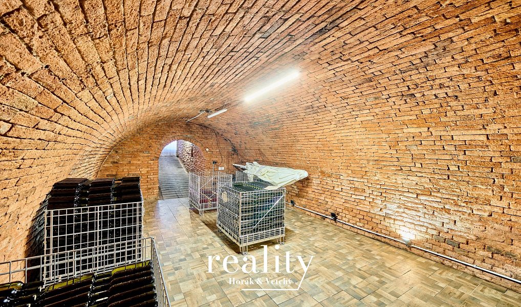 Dva apartmány s vinárnou a vinným sklepem 190 m2, Jevišovka, Jevišovka – náhled fotky 40
