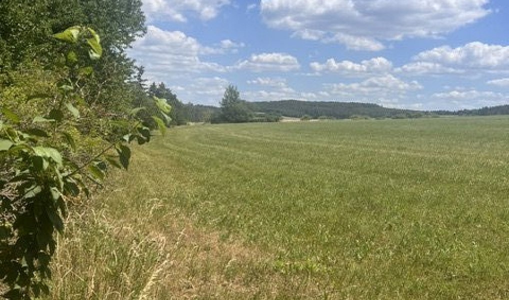 Prodej stavebního pozemku 14 128 m², Pečice – náhled fotky 4