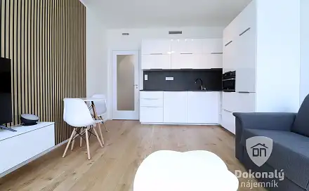 Pronájem bytu 1+kk 29 m²