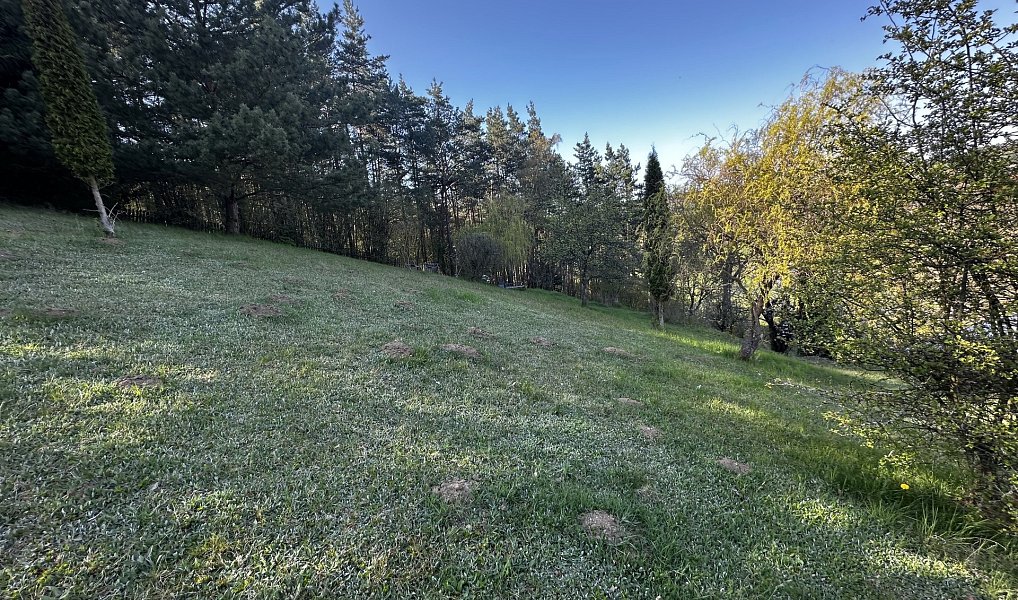 Prodej chaty/chalupy 70 m² s pozemkem 3 706 m², Stříbrná Skalice – náhled fotky 20