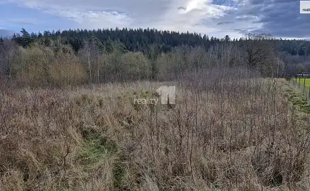 Prodej stavebního pozemku 2 983 m², Kynšperk nad Ohří - Zlatá, okres Sokolov