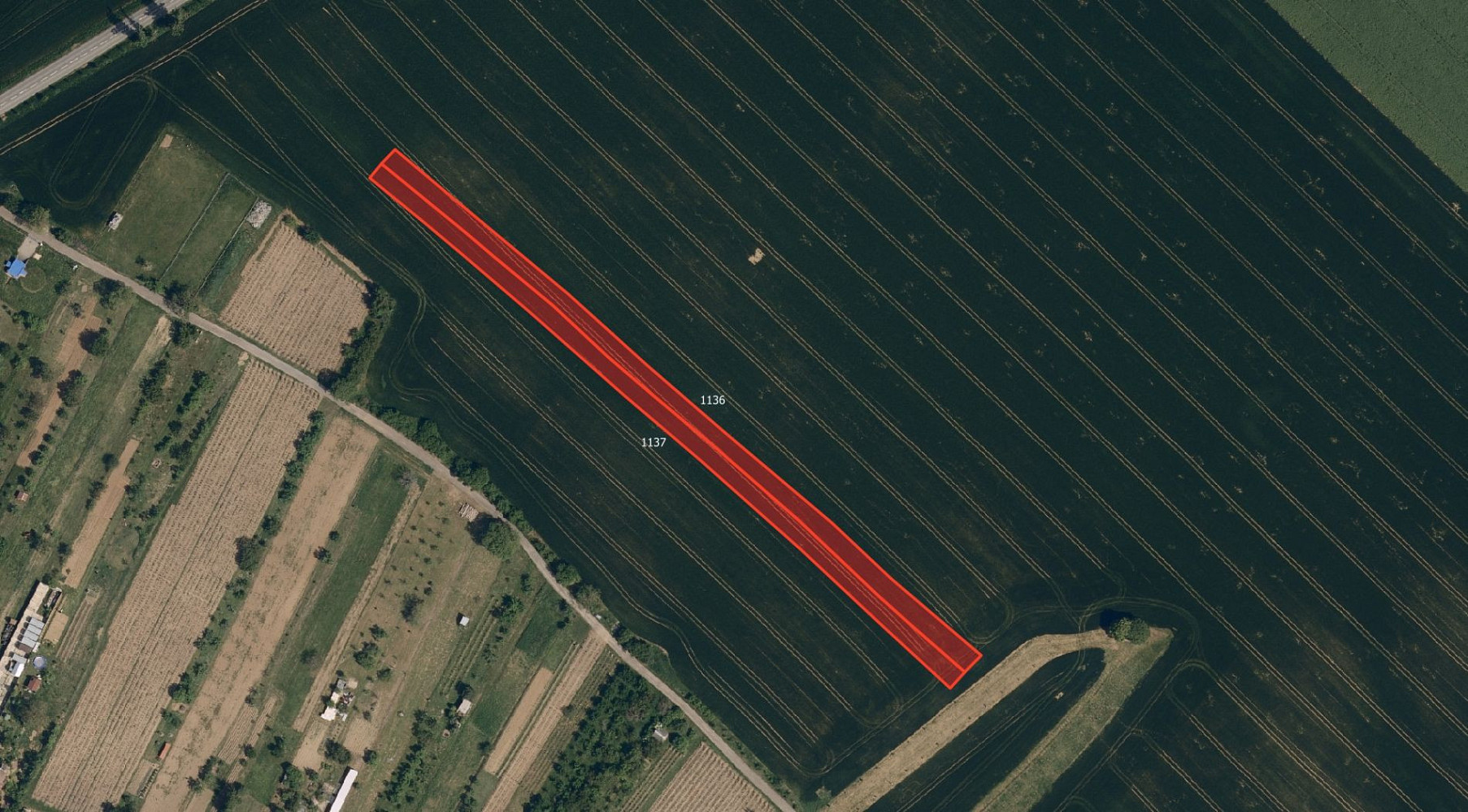 Prodej pole 2 636 m², Boršice