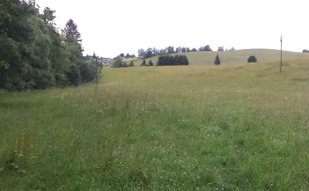 Dražba pole 10 957 m², Staré Buky