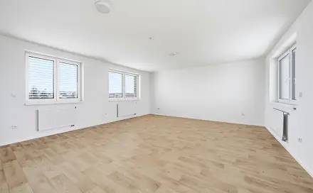 Pronájem bytu 1+1 66 m², Suvorovova, Plzeň - Východní Předměstí
