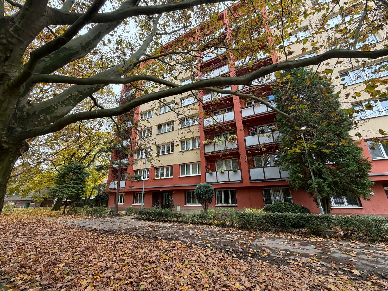Pronájem bytu 3+1 60 m²