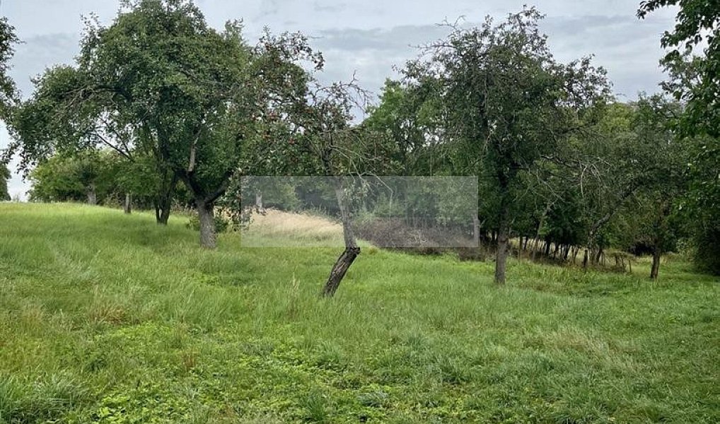 Prodej pozemku 11 900 m², Velké Všelisy – náhled fotky 14