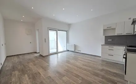 Pronájem bytu 1+kk 43 m², Švýcarské nábřeží, Olomouc - Nové Sady