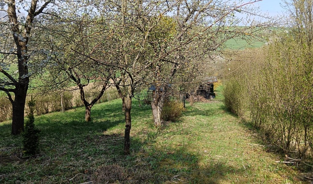 Prodej zahrady 1 872 m², Soběchleby – náhled fotky 4