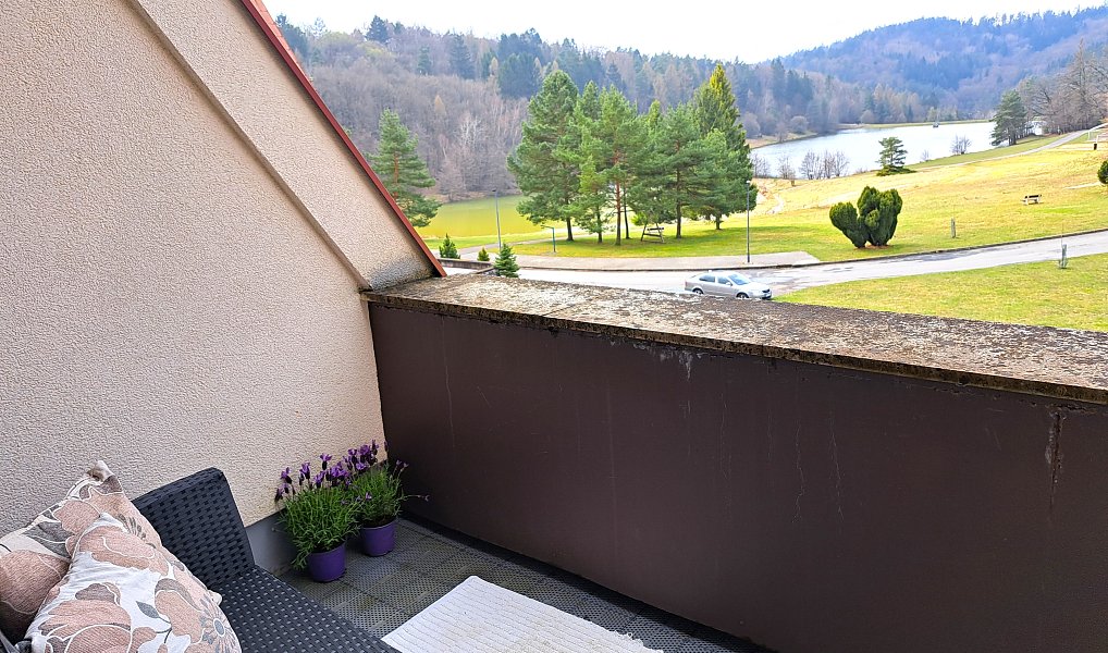 Prodej bytu 2+kk 46 m², Všemina – náhled fotky 13
