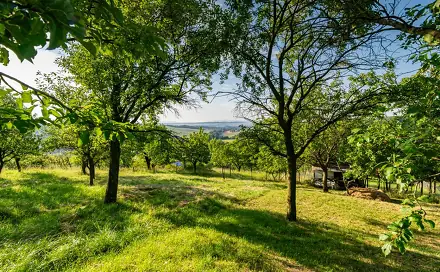 Prodej zahrady 1 878 m², Kudlovice, okres Uherské Hradiště