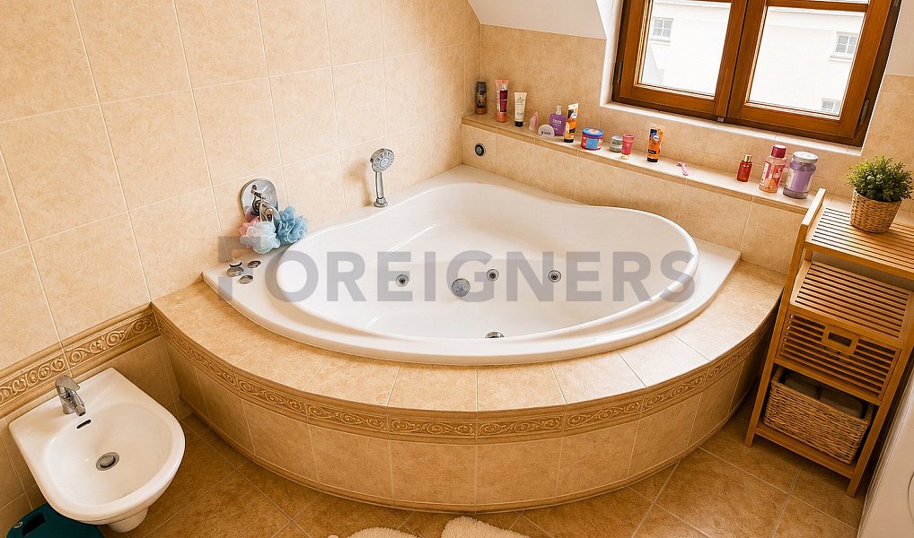 Pronájem bytu 4+kk 162 m², Olomouc – náhled fotky 7