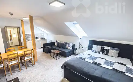 Prodej bytu 1+kk 62 m², Zeyerova, Jeseník