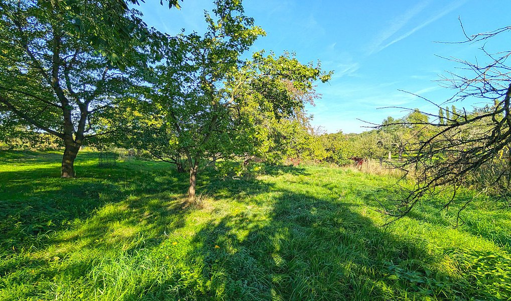 Prodej domu 216 m² s pozemkem 2 040 m², Dobřenice – náhled fotky 34