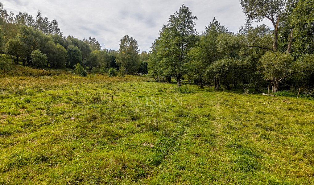 Prodej stavebního pozemku 991 m², Horní Planá – náhled fotky 12