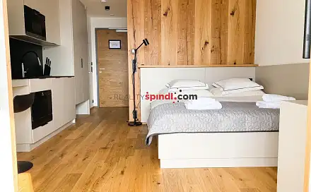 Pronájem bytu 1+kk 24 m², Špindlerův Mlýn, okres Trutnov