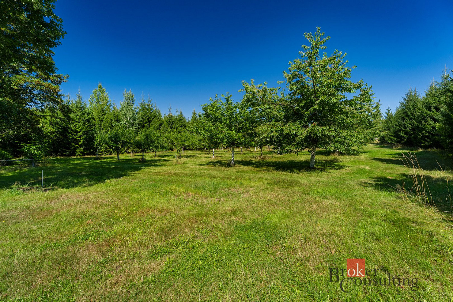 Prodej stavebního pozemku 12 049 m²