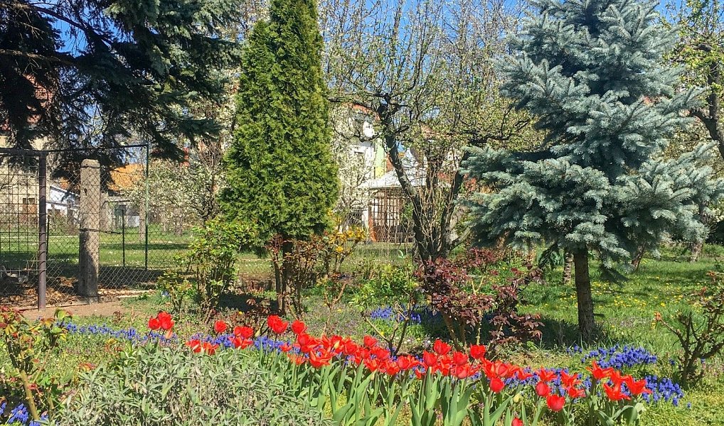 Prodej domu 1 046 m² s pozemkem 3 200 m², Kroměříž – náhled fotky 9